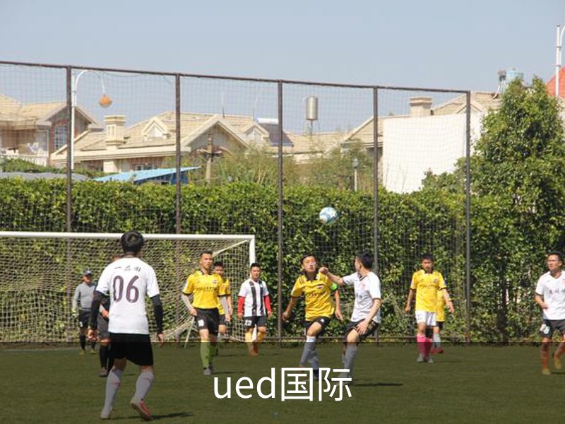 ued国际简介